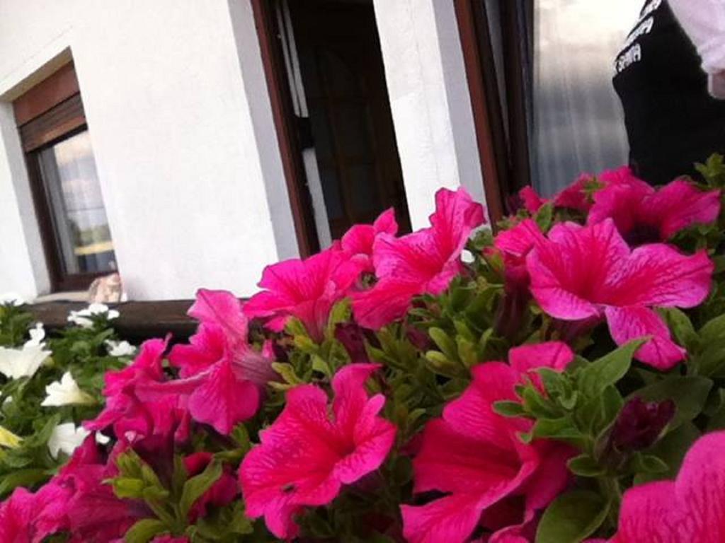 Guesthouse Magdalena Rakovica Ruang foto